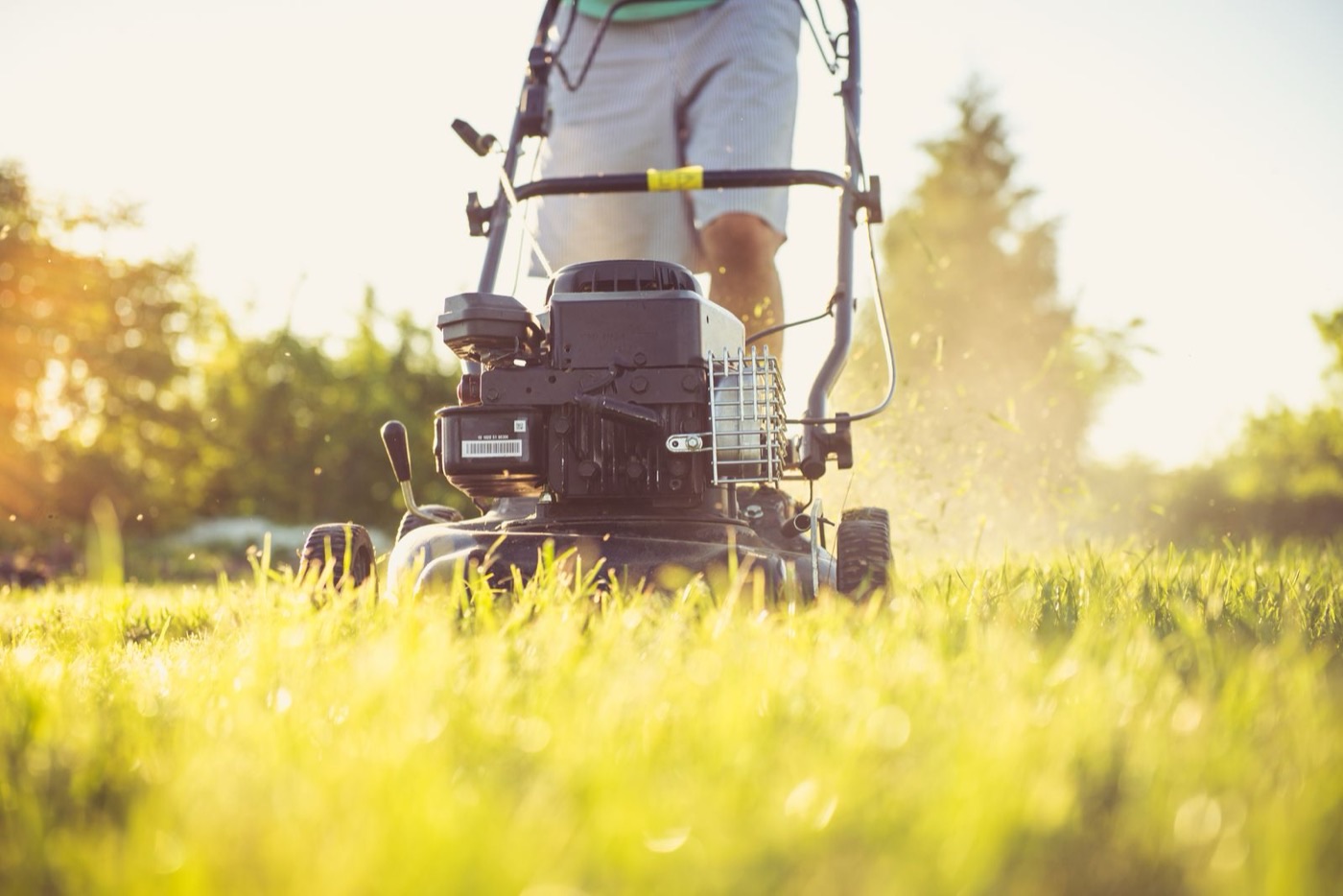 Push mower cutting fresh green grass on a sunlit lawn.